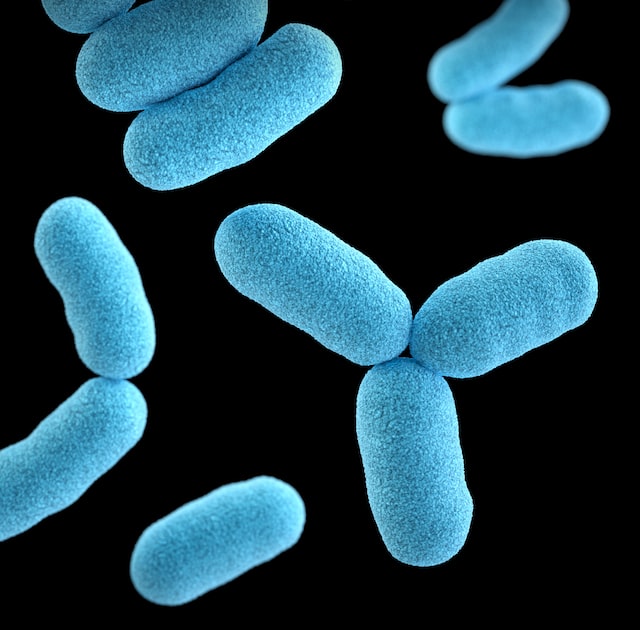 bacteria animated photo
