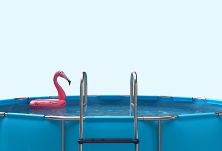 flamingo in swimming pool