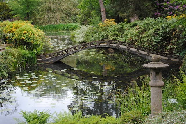 pond with little bridge