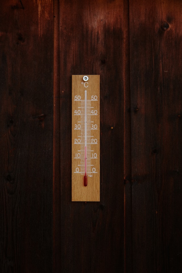 temperature measuring device
