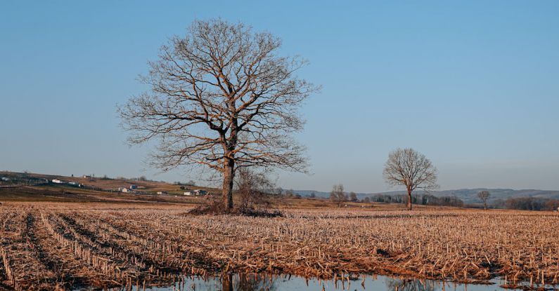 Pool Installation - A lone tree stands in a field with water in the middle